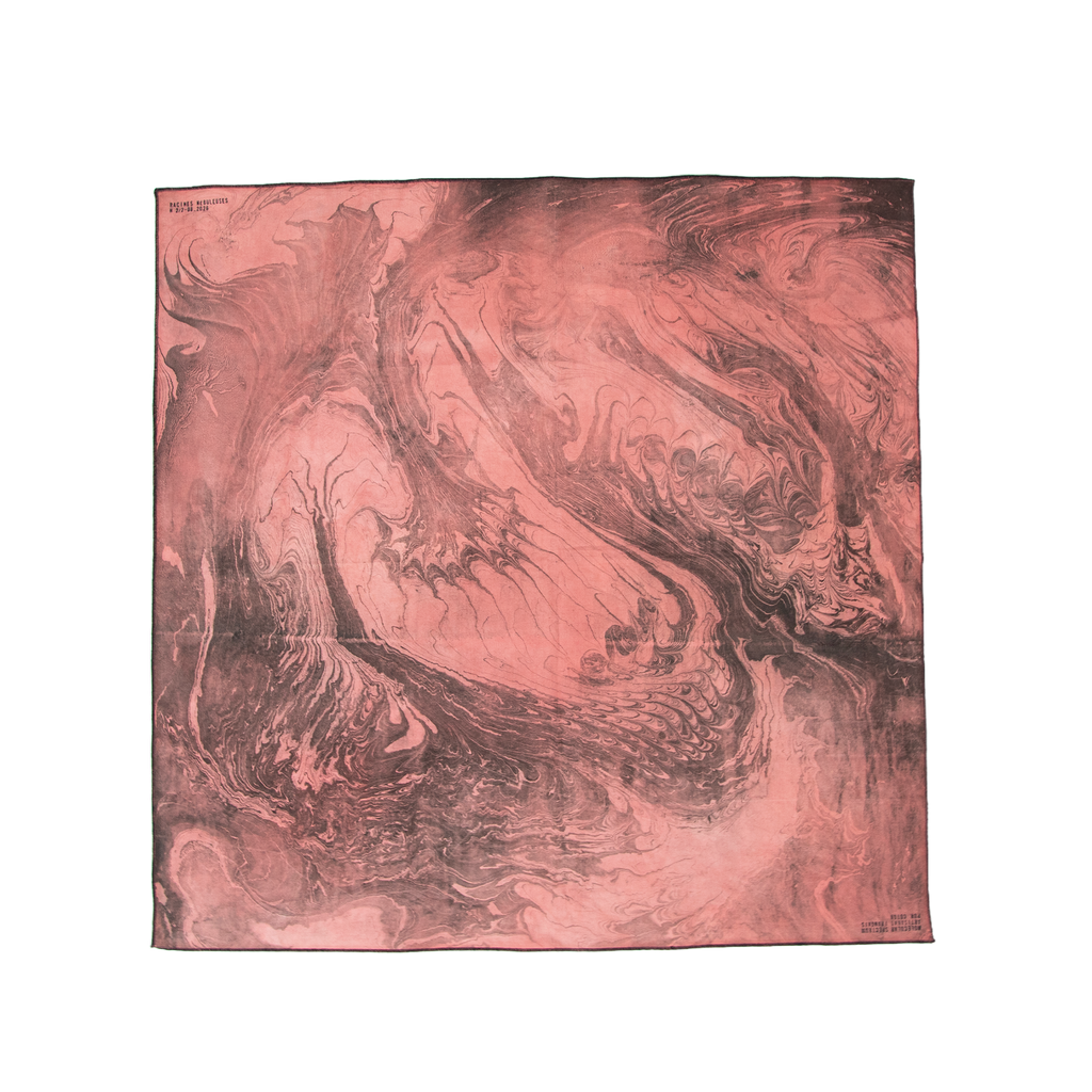 RACINE NÉBULEUSE 2/2